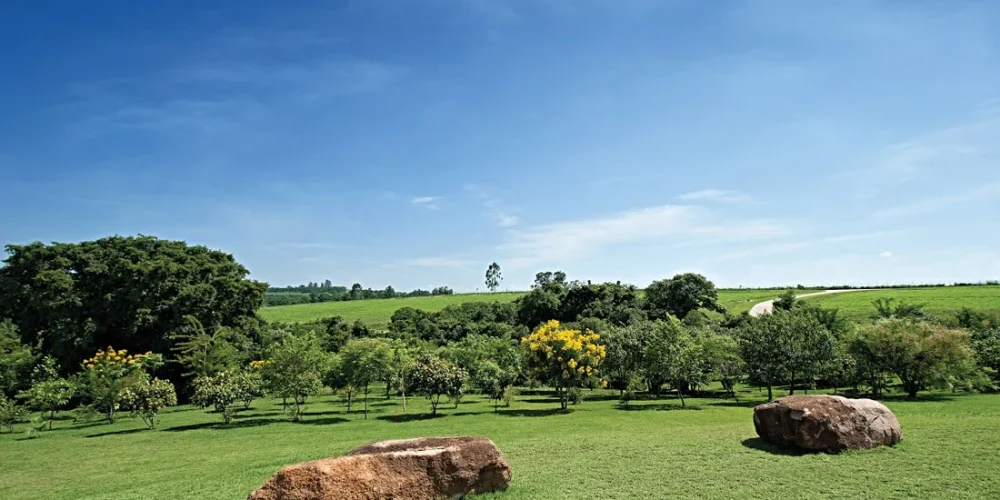 7-Belas-Paisagens (1)